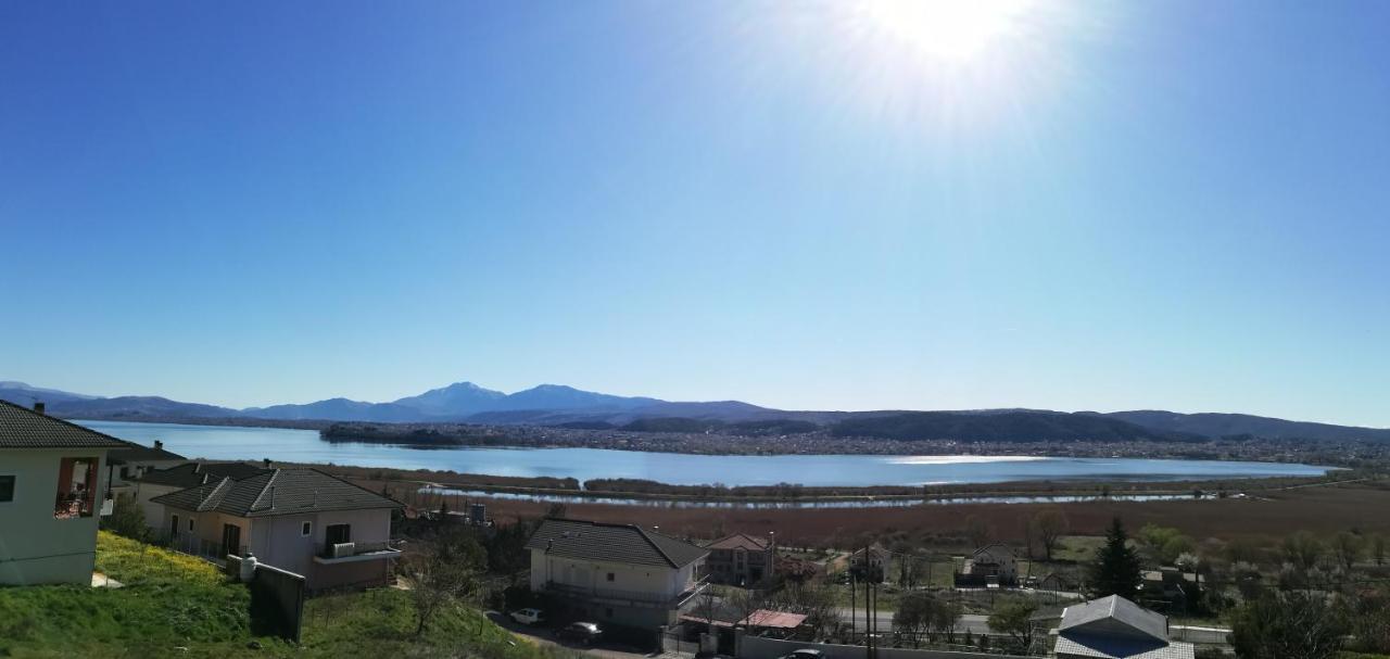 House With View In Amfithea Apartment Ioannina Luaran gambar